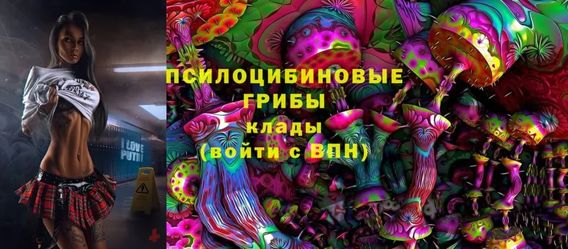 Галлюциногенные грибы MAGIC MUSHROOMS  shop состав  Биробиджан 